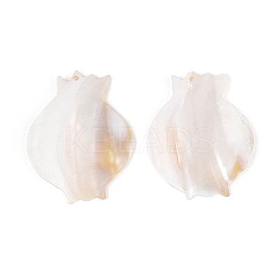 Natural Freshwater Shell Big Pendants SHEL-N038-17-1