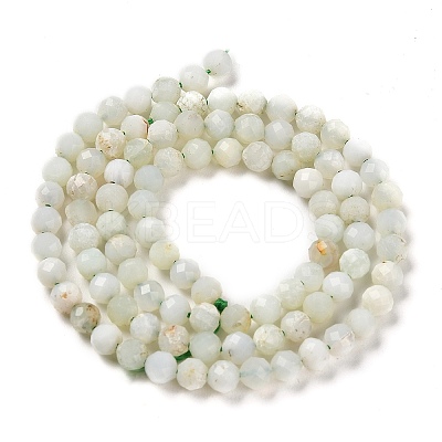 Natural Green Opal Beads Strands G-Z035-A02-03B-1