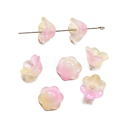 Handmade Lampwork Beads Cap PW-WG44676-01-1