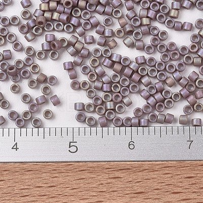 MIYUKI Delica Beads X-SEED-J020-DB2321-1
