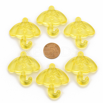 Transparent Acrylic Pendants TACR-T024-01B-916-1