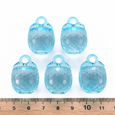 Autumn Theme Transparent Acrylic Pendants TACR-T024-04B-946-1