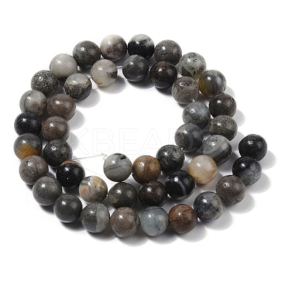 Natural Black Flower Amazonite Beads Strands G-G184-A05-01-1