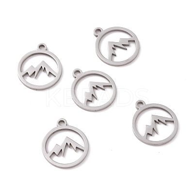 Non-Tarnish 201 Stainless Steel Charms STAS-G281-01P-02-1