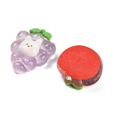 Animal Theme Opaque & Transparent Resin Cabochons RE-CBA93EE-06-1
