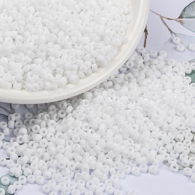 MIYUKI Round Rocailles Beads SEED-X0055-RR0402F-1