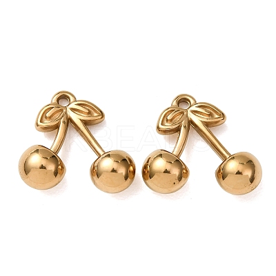304 Stainless Steel Charms STAS-Z176-01G-06-1