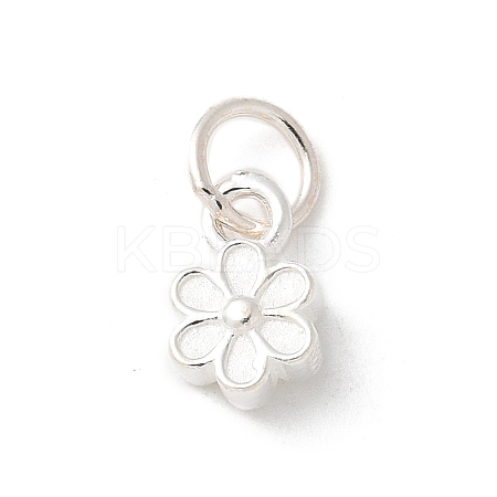 S925 Sterling Silver Pendant STER-H115-08E-S-1