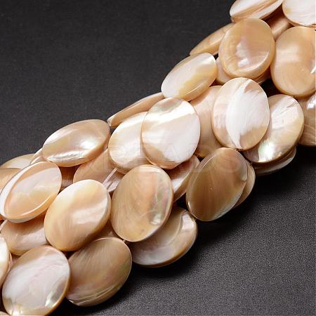 Natural Trochid Shell/Trochus Shell Beads Strands SSHEL-K008-03-1