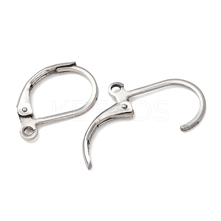 Tarnish Resistant 316L Surgical Stainless Steel Leverback Earring Findings STAS-E194-03P-1