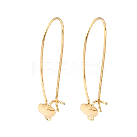 Brass Ear Hooks KK-F916-02G-1