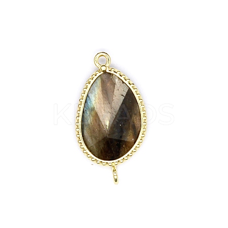 Natural Labradorite Connector Charms PW-WG24A41-02-1